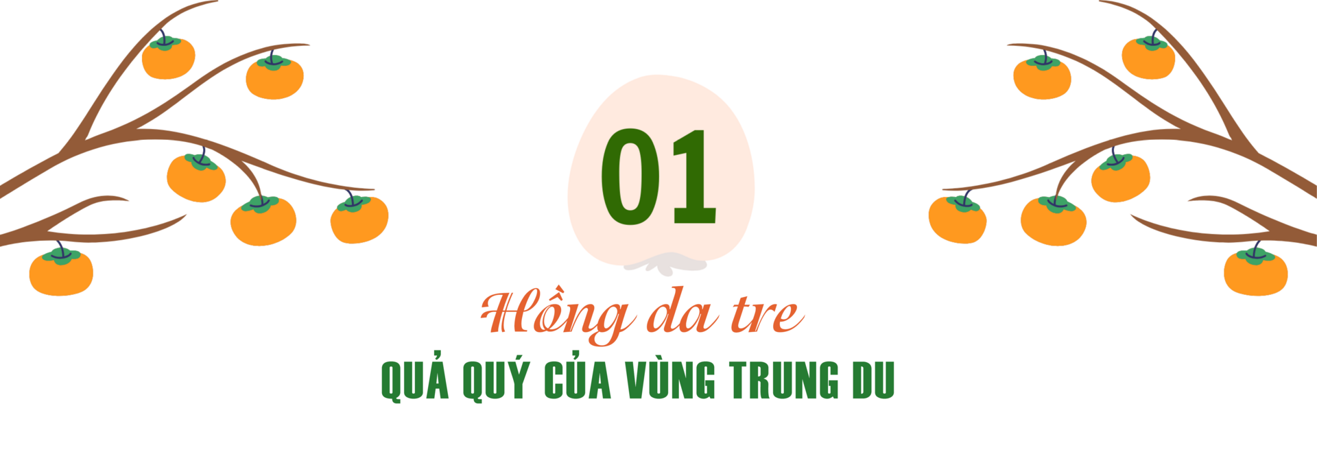 Longform | Hồng da tre: Sản phẩm ‘mở lối’ phát triển kinh tế bản địa - 1