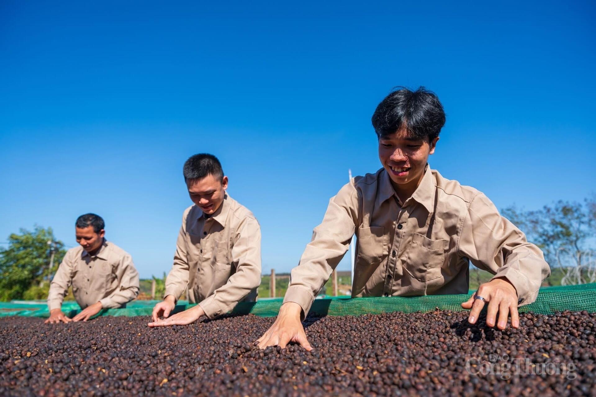 Công Thương Gia Lai vững bước hội nhập - Bài 4: Thương mại mở đường tăng trưởng - 3