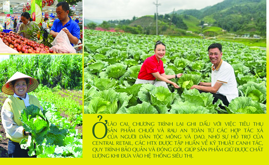 Longform | Central Retail và hành trình “Sinh kế cộng đồng” vùng cao - 5