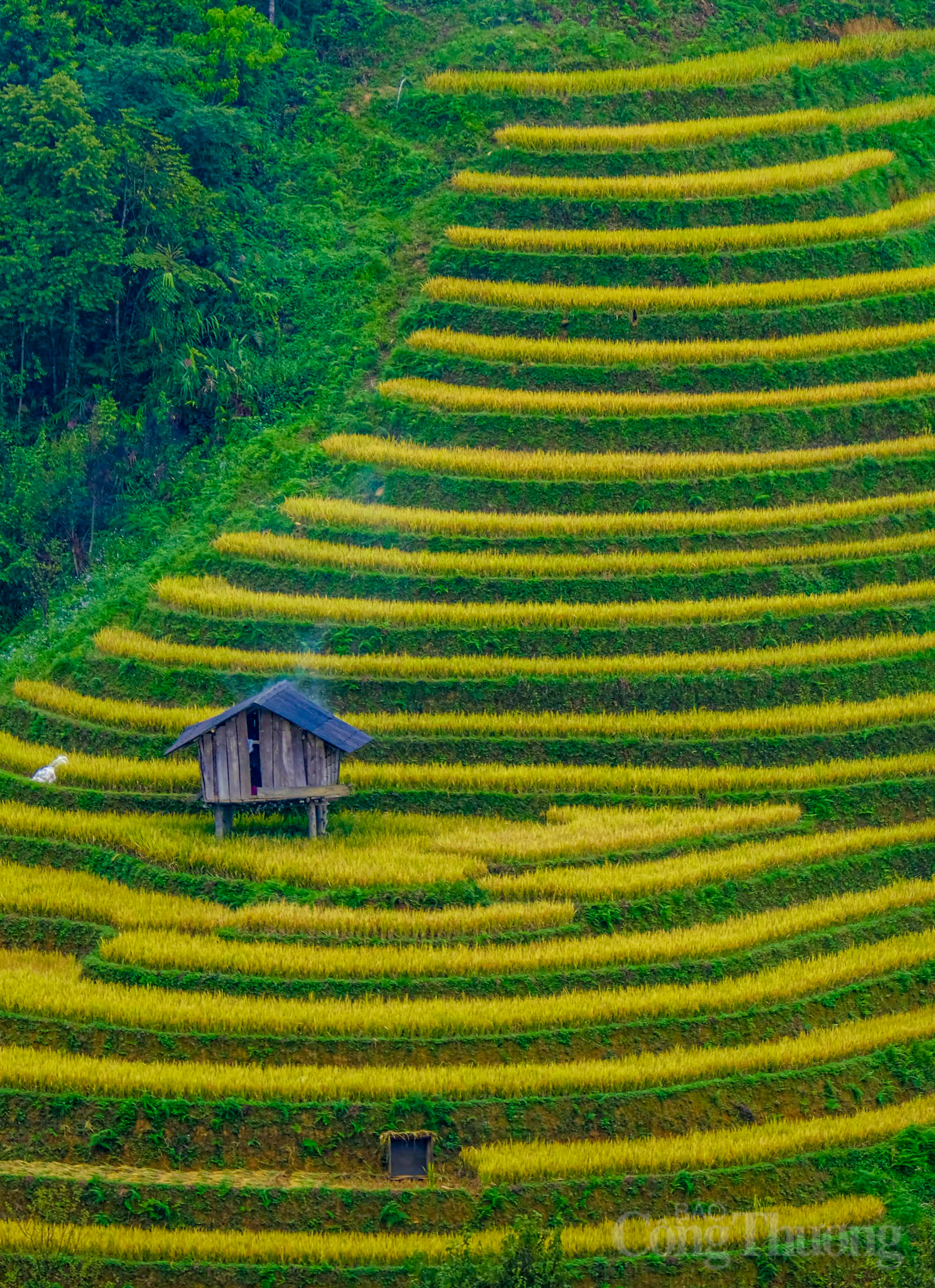 Các hoạt động du lịch được xây dựng dựa trên sự tôn trọng văn hóa bản địa, mang lại trải nghiệm chân thực và ý nghĩa cho du khách.