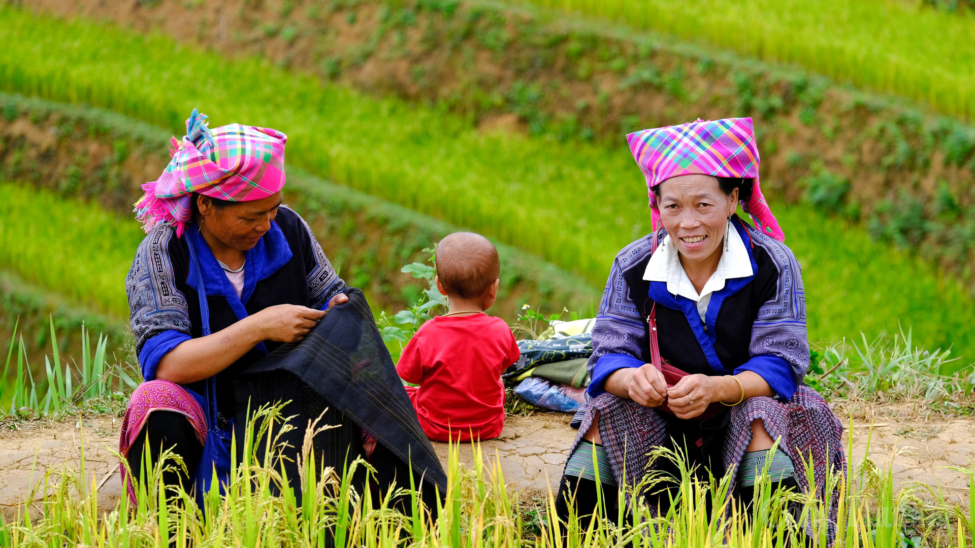 Những người phụ nữ Mông trên ruộng bậc thang Mù Cang Chải. Năm 2024, điểm đến đã đón hơn 31.500 lượt khách quốc tế.