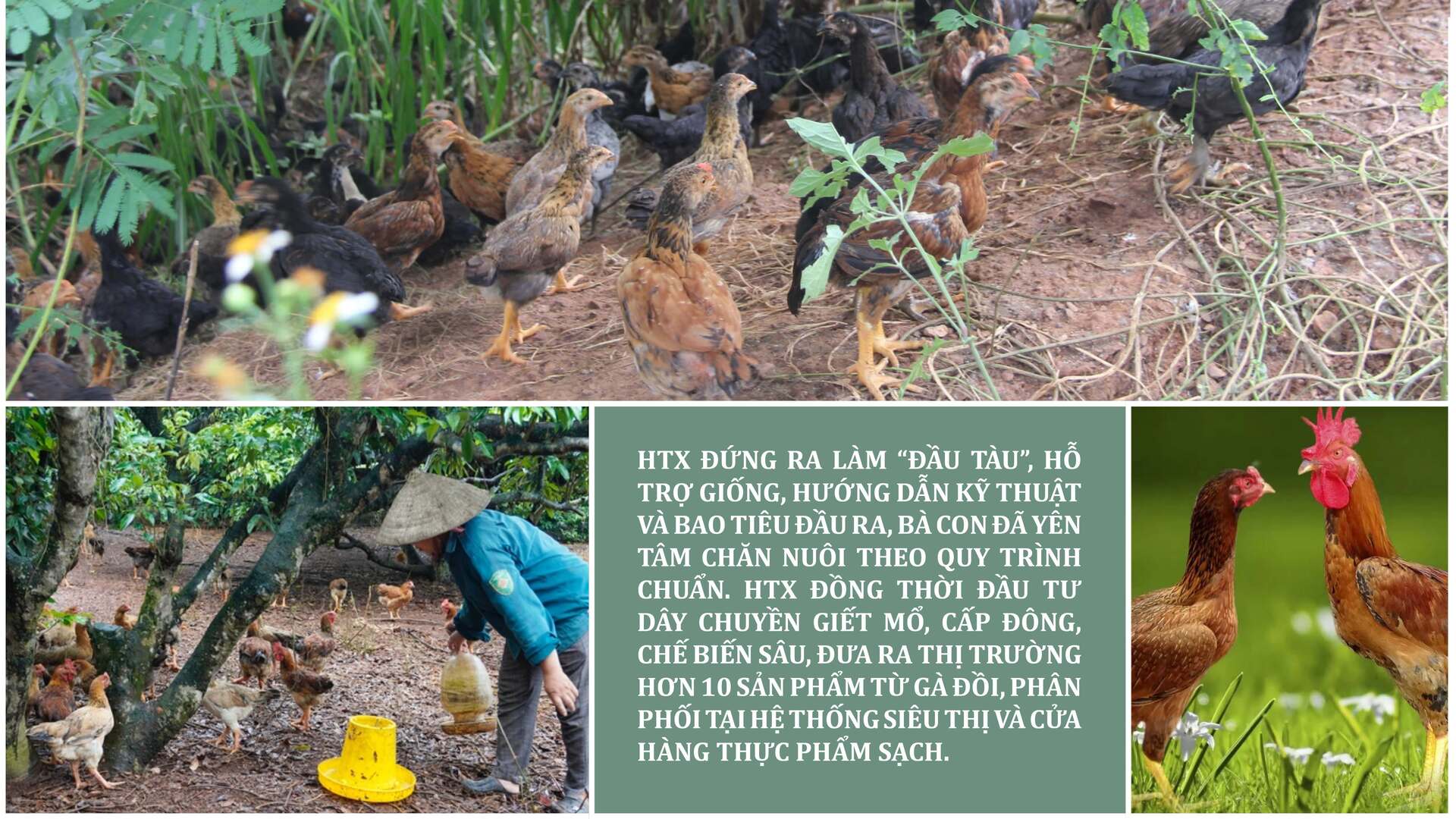 Longform | Bắc Ninh và bài học giảm nghèo từ thay đổi nếp nghĩ - 5
