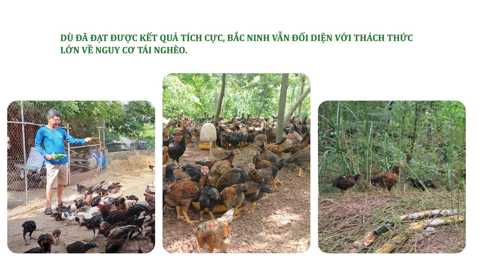 Longform | Bắc Ninh và bài học giảm nghèo từ thay đổi nếp nghĩ - 8