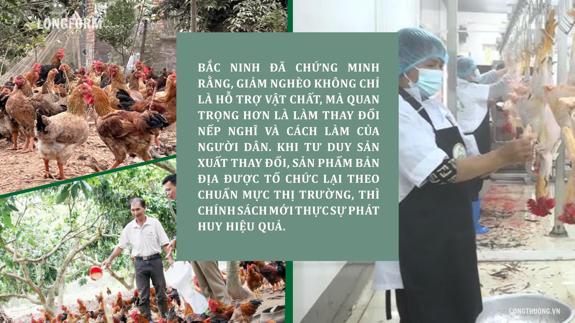 Longform | Bắc Ninh và bài học giảm nghèo từ thay đổi nếp nghĩ - 10