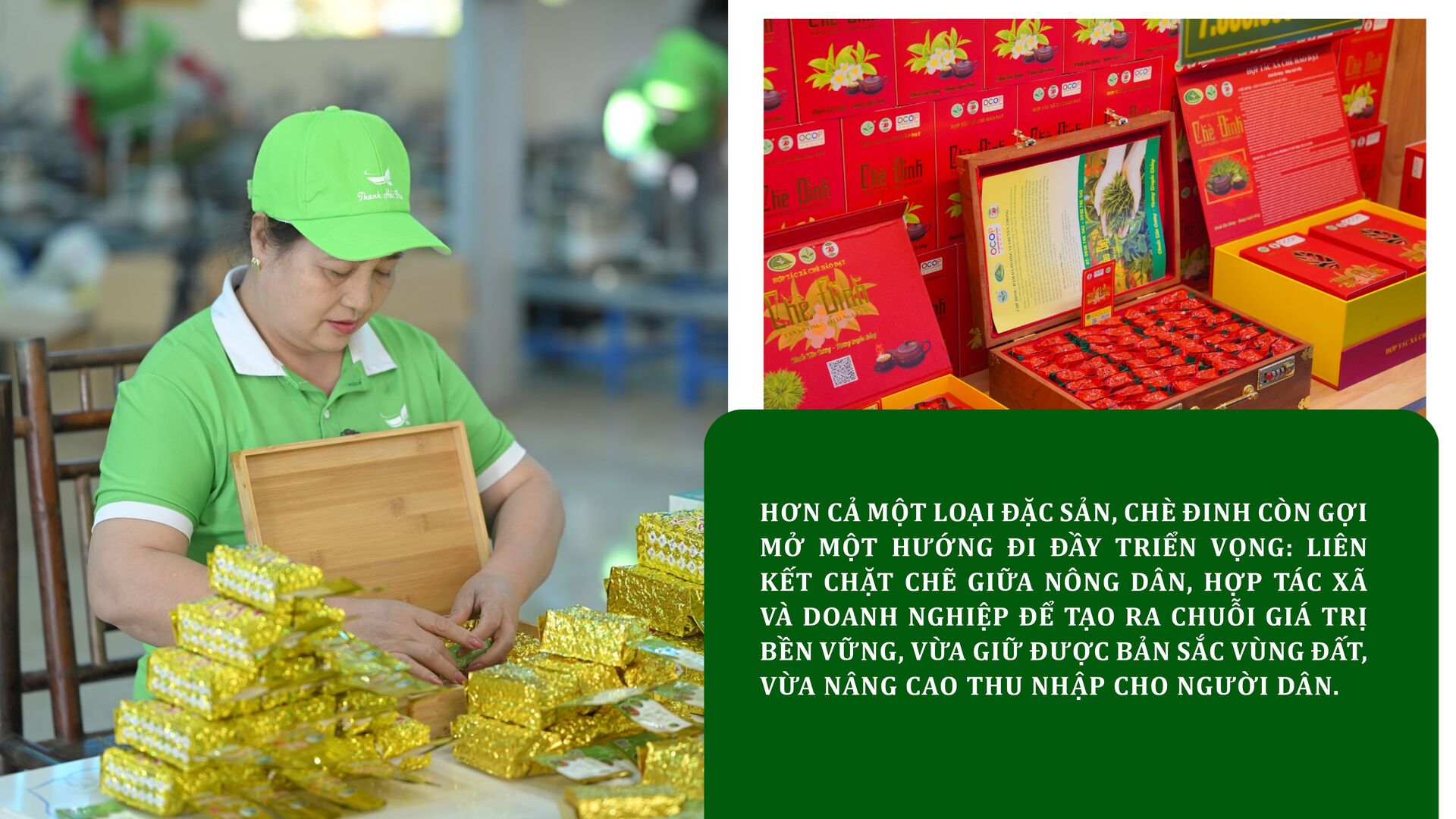 Longform | Chè Đinh Thái Nguyên: Tinh hoa từ đệ nhất danh trà - 9