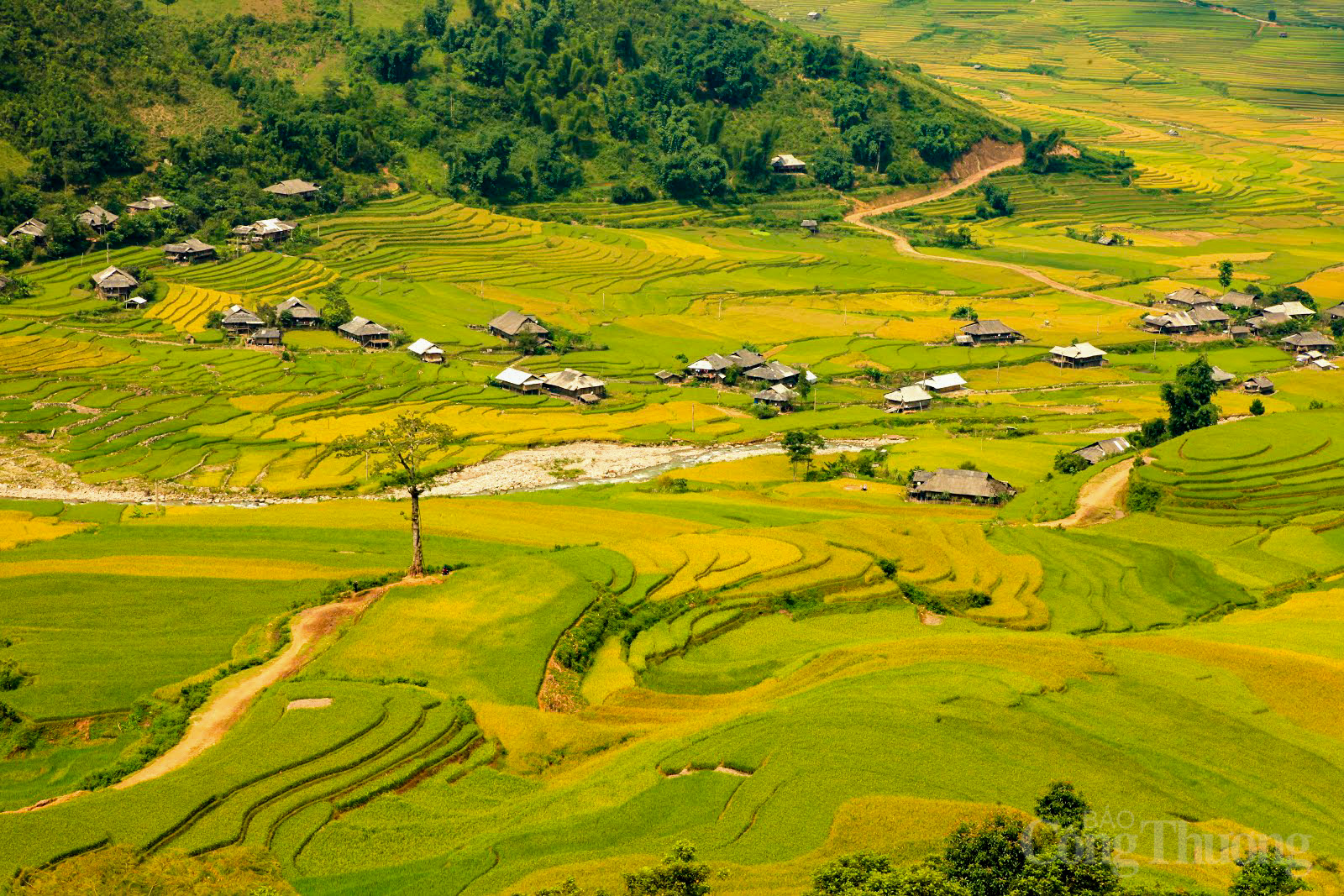 Những năm gần đây Mù Cang Chải đã phát triển và đa dạng hóa nhiều loại hình du lịch để thu hút du khách. Không chỉ dừng lại ở việc ngắm cảnh, du khách đến đây có thể trải nghiệm nhiều hoạt động độc đáo và hấp dẫn hơn.