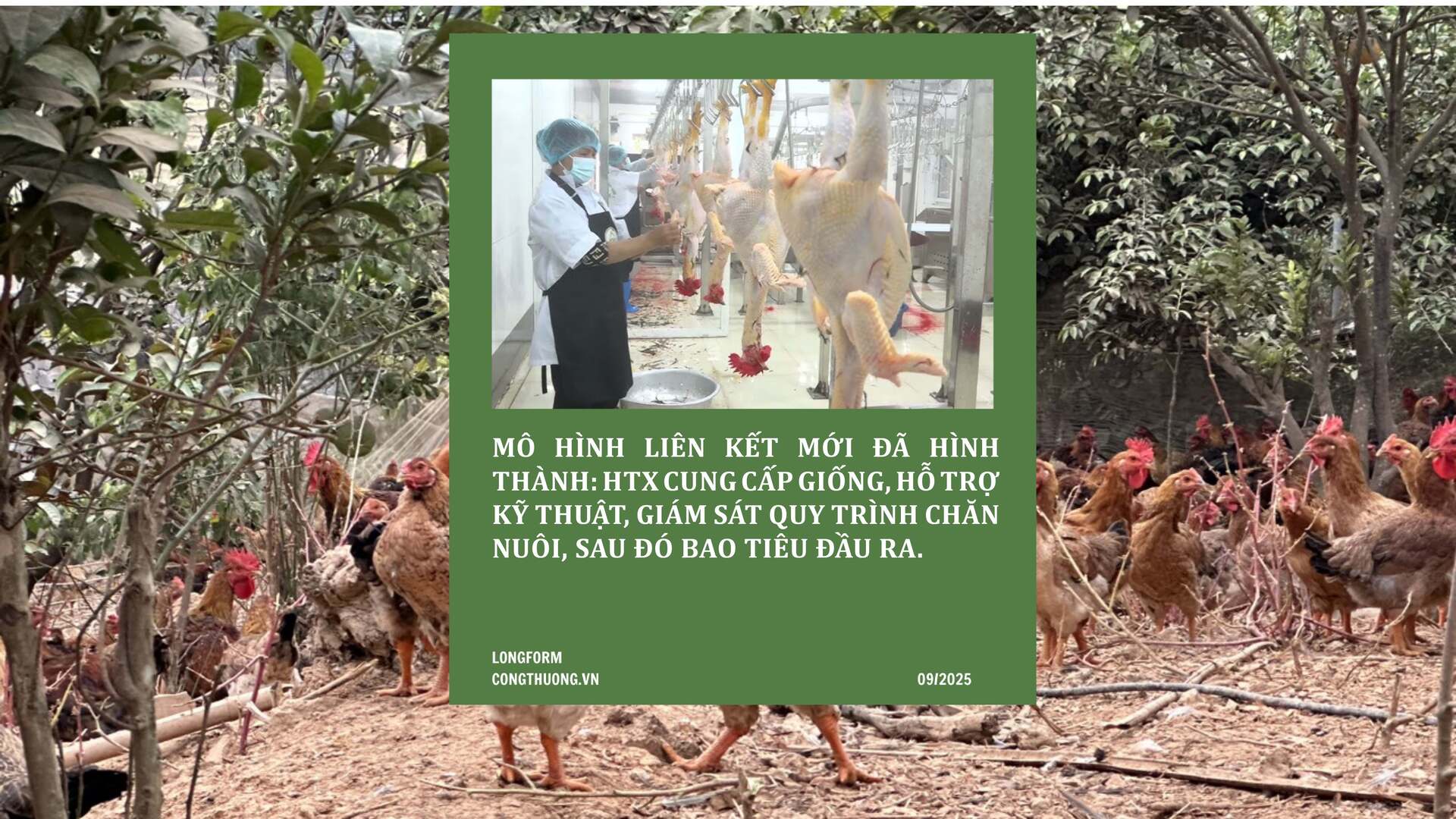 Longform | Từ giá trị bản địa đến sinh kế bền vững ở Bắc Ninh - 3