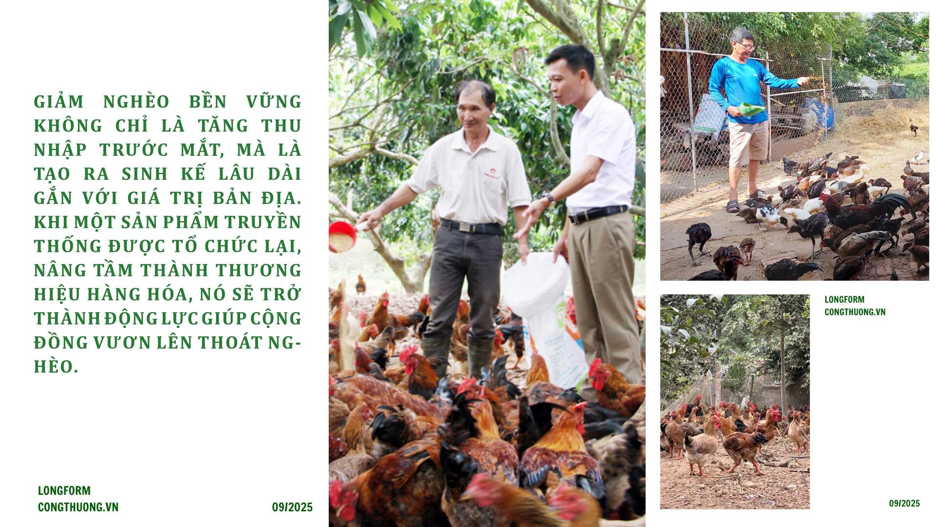 Longform | Từ giá trị bản địa đến sinh kế bền vững ở Bắc Ninh - 11