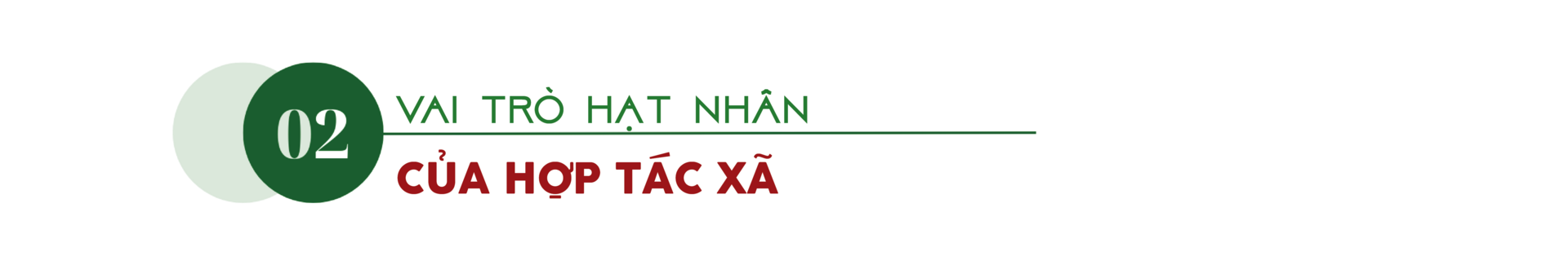 Longform | Từ giá trị bản địa đến sinh kế bền vững ở Bắc Ninh - 4