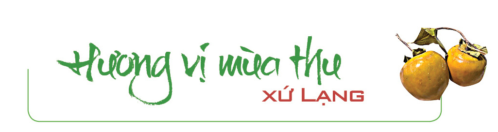 Longform | Hồng vành khuyên Lạng Sơn: Trái ngọt từ núi rừng - 1