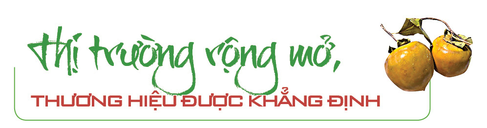 Longform | Hồng vành khuyên Lạng Sơn: Trái ngọt từ núi rừng - 4