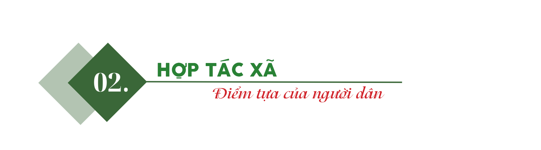 Mì Chũ Bắc Ninh: Sợi mì thoát nghèo của người dân Kinh Bắc - 4