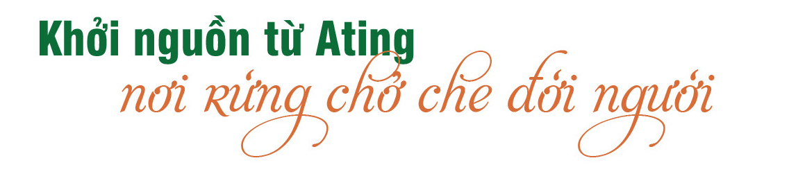 Longform | HTX Rừng Xanh Rau Sạch: Nâng tầm nông sản đồng bào Cơ Tu - 1