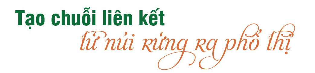 Longform | HTX Rừng Xanh Rau Sạch: Nâng tầm nông sản đồng bào Cơ Tu - 4