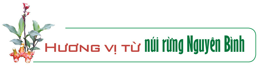 Longform | Miến dong Phia Đén: Tinh hoa núi rừng từ củ dong riềng - 1