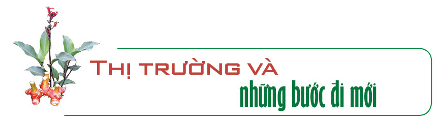 Longform | Miến dong Phia Đén: Tinh hoa núi rừng từ củ dong riềng - 6