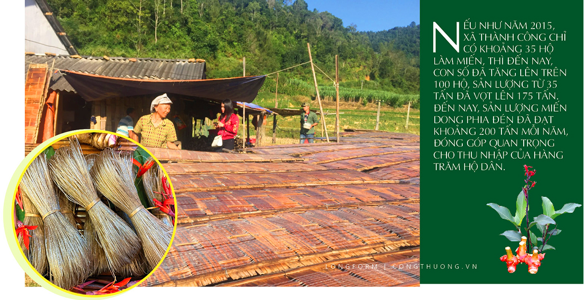 Longform | Miến dong Phia Đén: Tinh hoa núi rừng từ củ dong riềng - 3