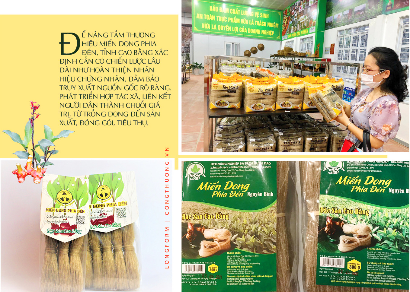 Longform | Miến dong Phia Đén: Tinh hoa núi rừng từ củ dong riềng - 8