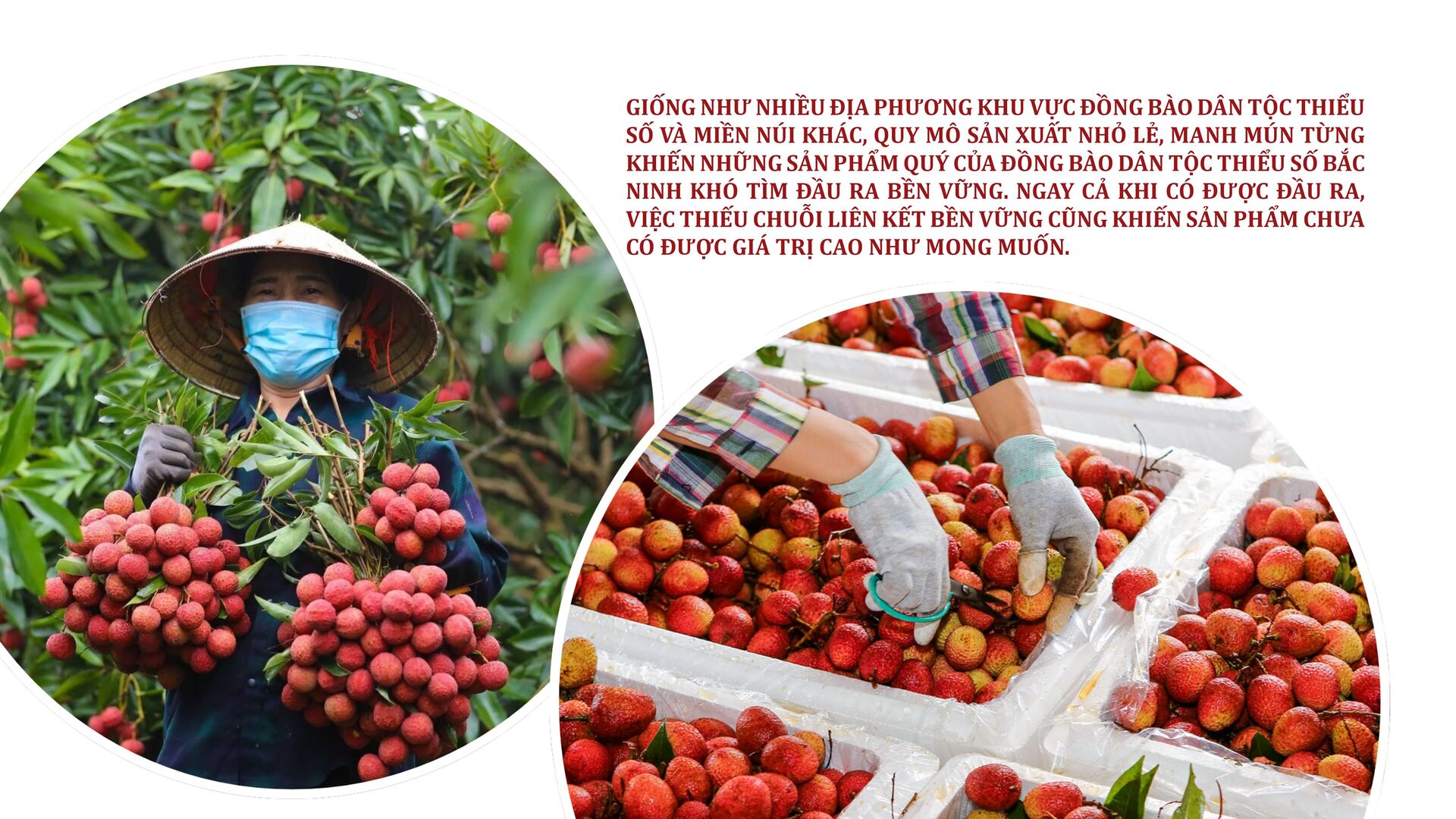 Longform | Doanh nghiệp mở rộng đầu ra cho sản phẩm vùng dân tộc - 2