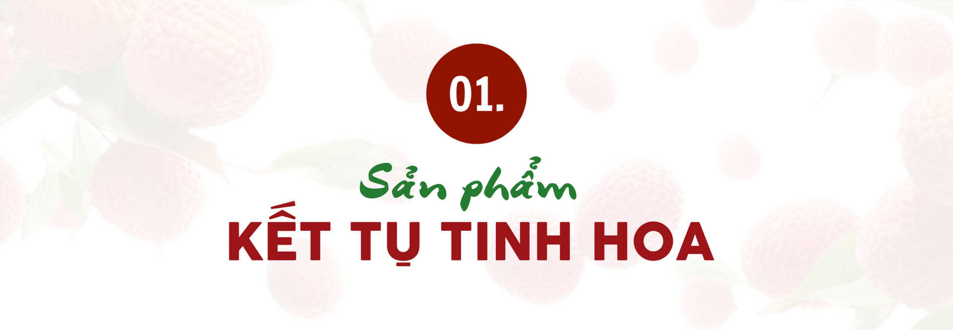 Longform | Doanh nghiệp mở rộng đầu ra cho sản phẩm vùng dân tộc - 1