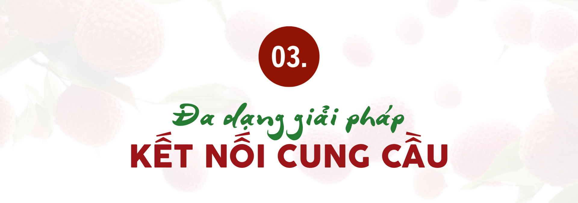 Longform | Doanh nghiệp mở rộng đầu ra cho sản phẩm vùng dân tộc - 7