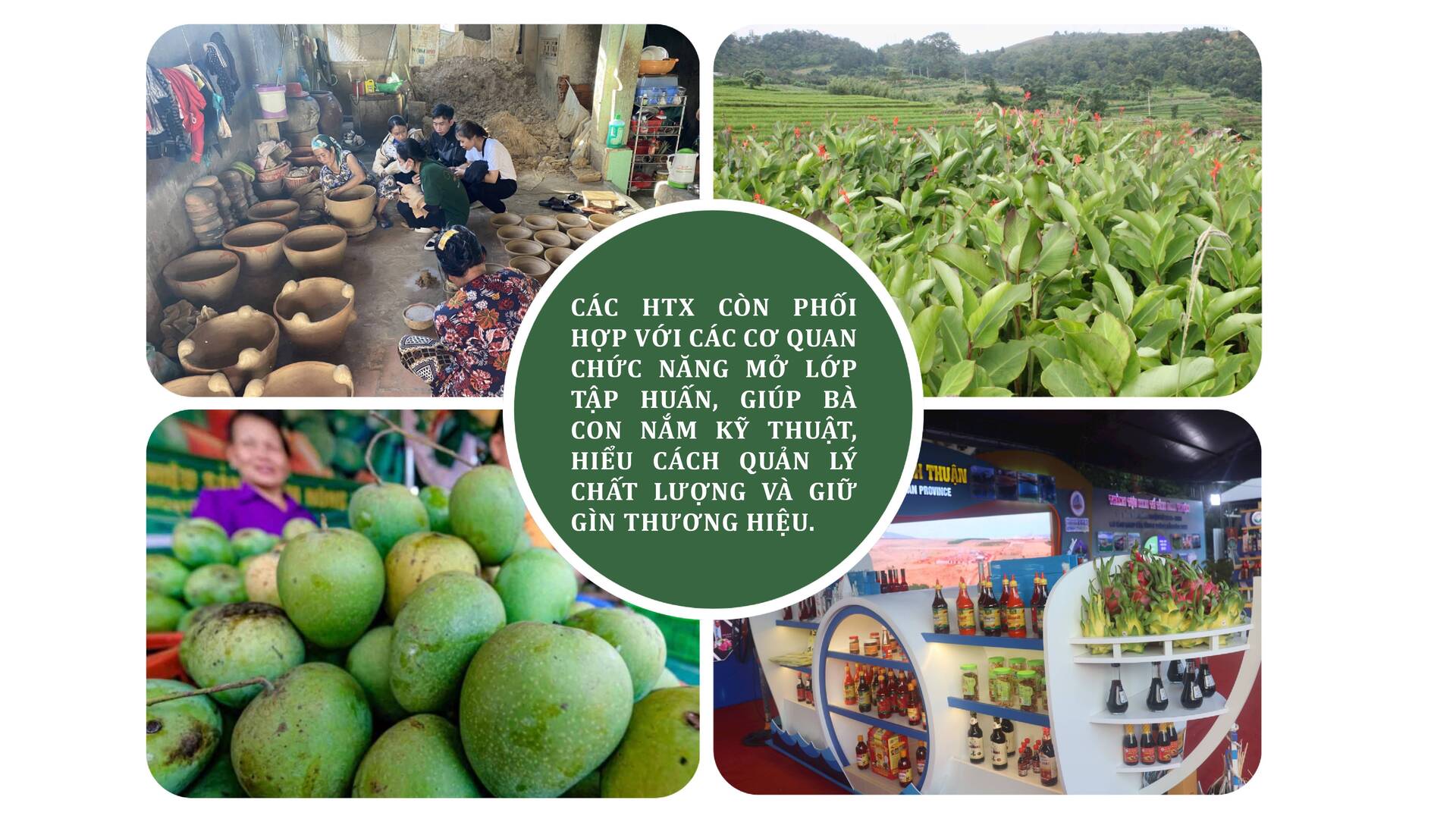Longform | ‘Đặt tên’ cho sản phẩm vùng dân tộc thiểu số - 4