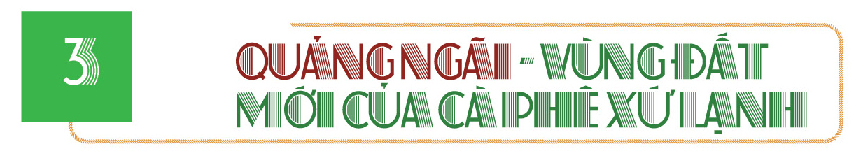Longform | Cà phê xứ lạnh 'phủ xanh' vùng cao Quảng Ngãi - 7