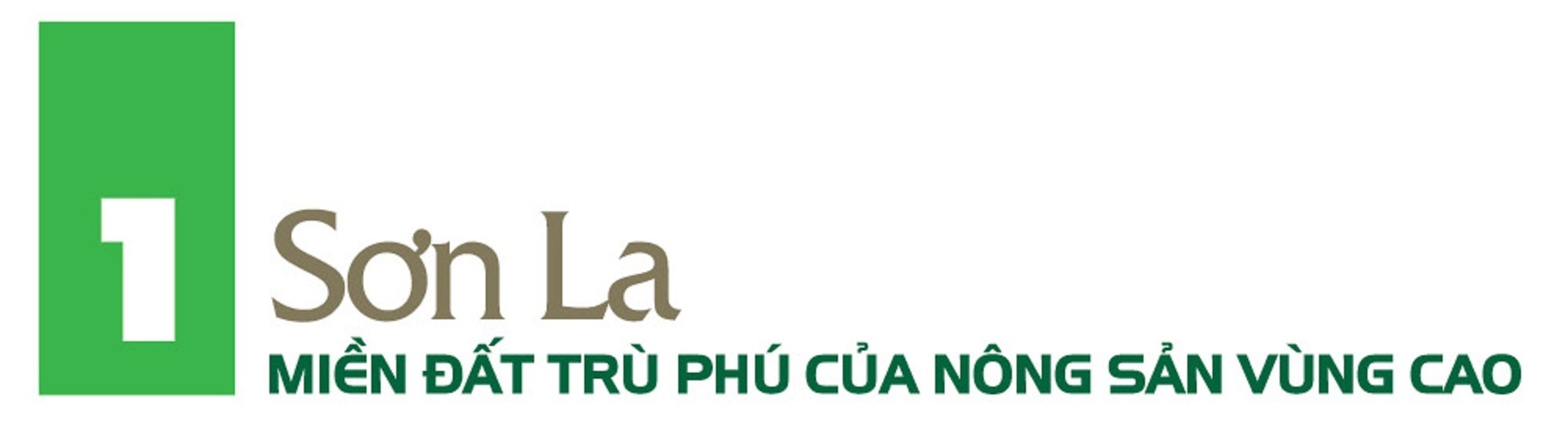 Nông sản đồng bào dân tộc thiểu số Sơn La: Khát vọng tiêu thụ bền vững - 1