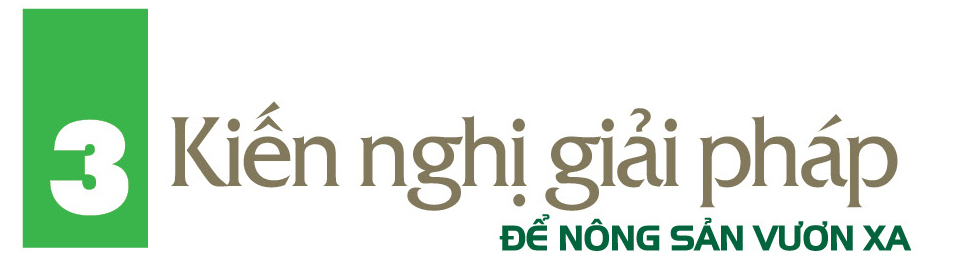 Nông sản đồng bào dân tộc thiểu số Sơn La: Khát vọng tiêu thụ bền vững - 6