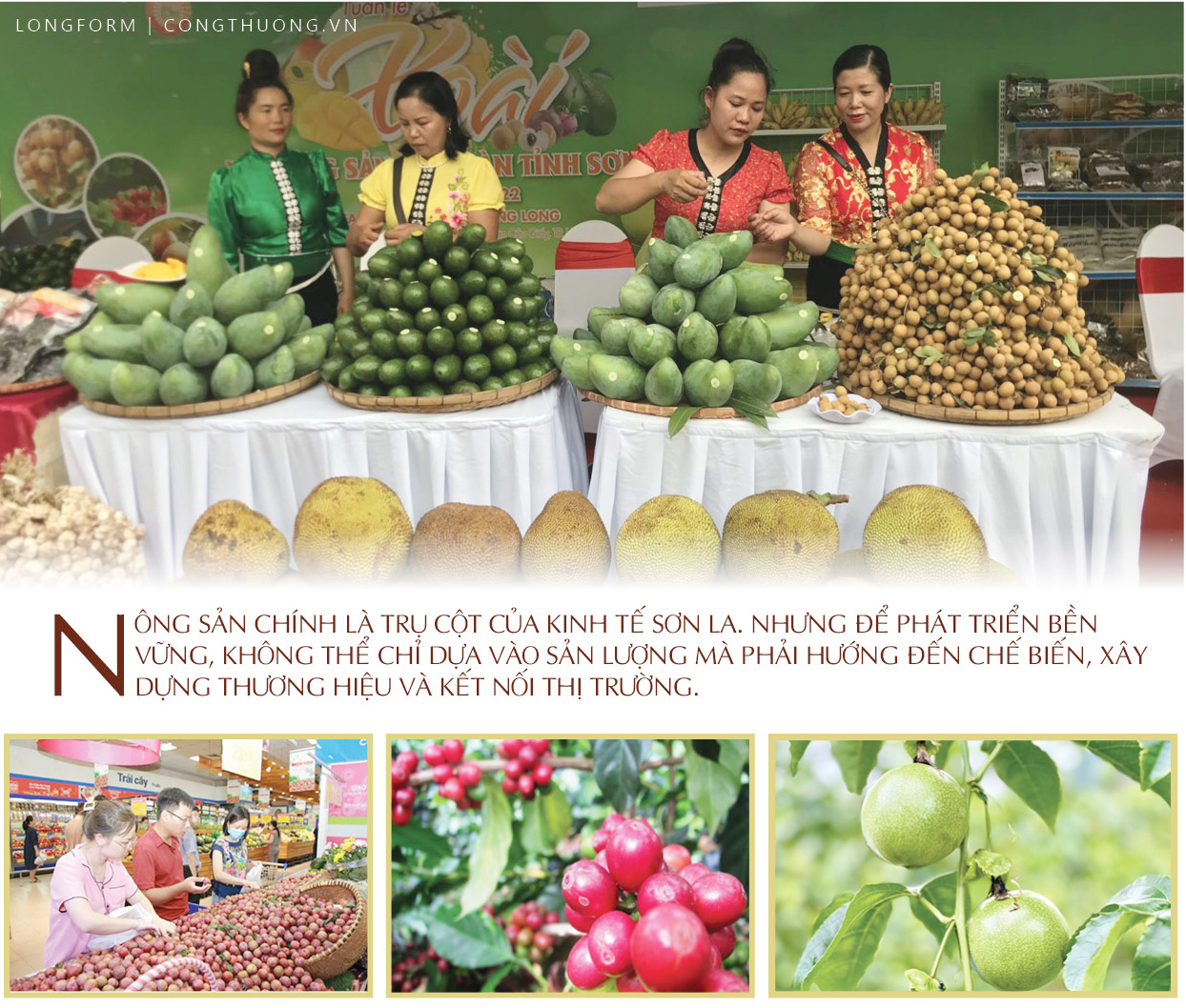 Nông sản đồng bào dân tộc thiểu số Sơn La: Khát vọng tiêu thụ bền vững - 3