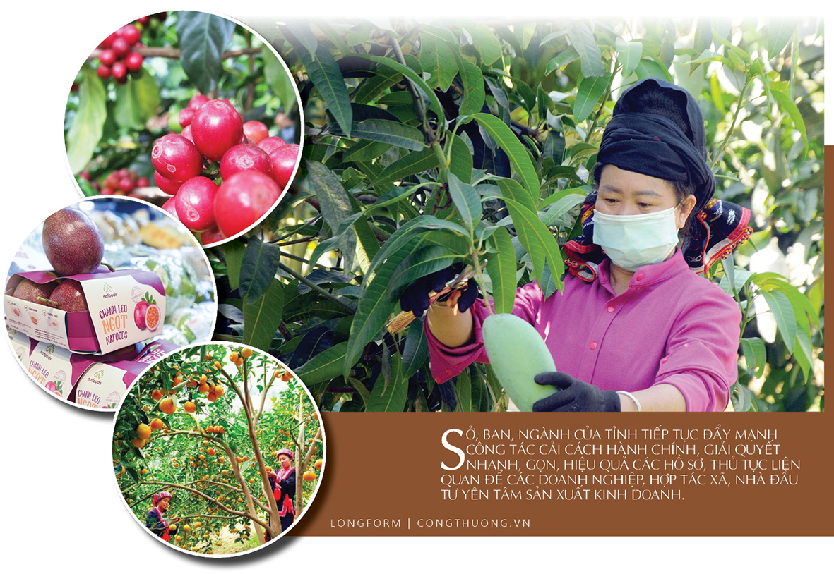 Nông sản đồng bào dân tộc thiểu số Sơn La: Khát vọng tiêu thụ bền vững - 7