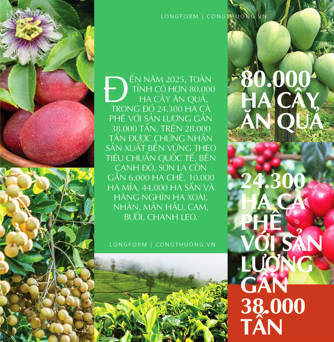Nông sản đồng bào dân tộc thiểu số Sơn La: Khát vọng tiêu thụ bền vững - 2