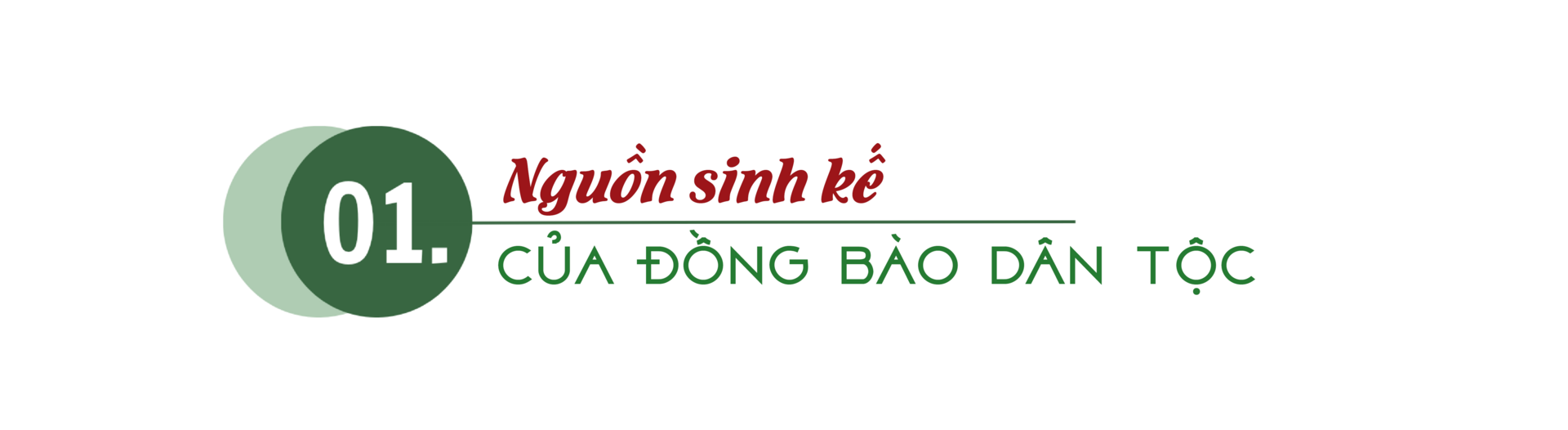 Longform | ‘Đặt tên’ cho sản phẩm vùng dân tộc thiểu số - 1