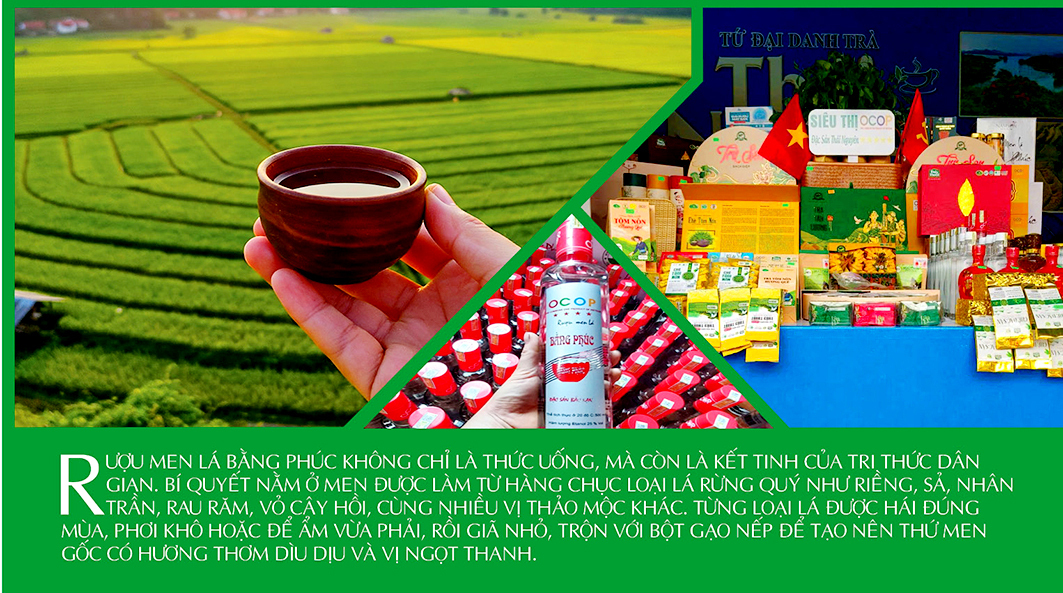 Longform | Rượu Bằng Phúc: Hành trình giữ nghề, vươn tầm thế giới - 2