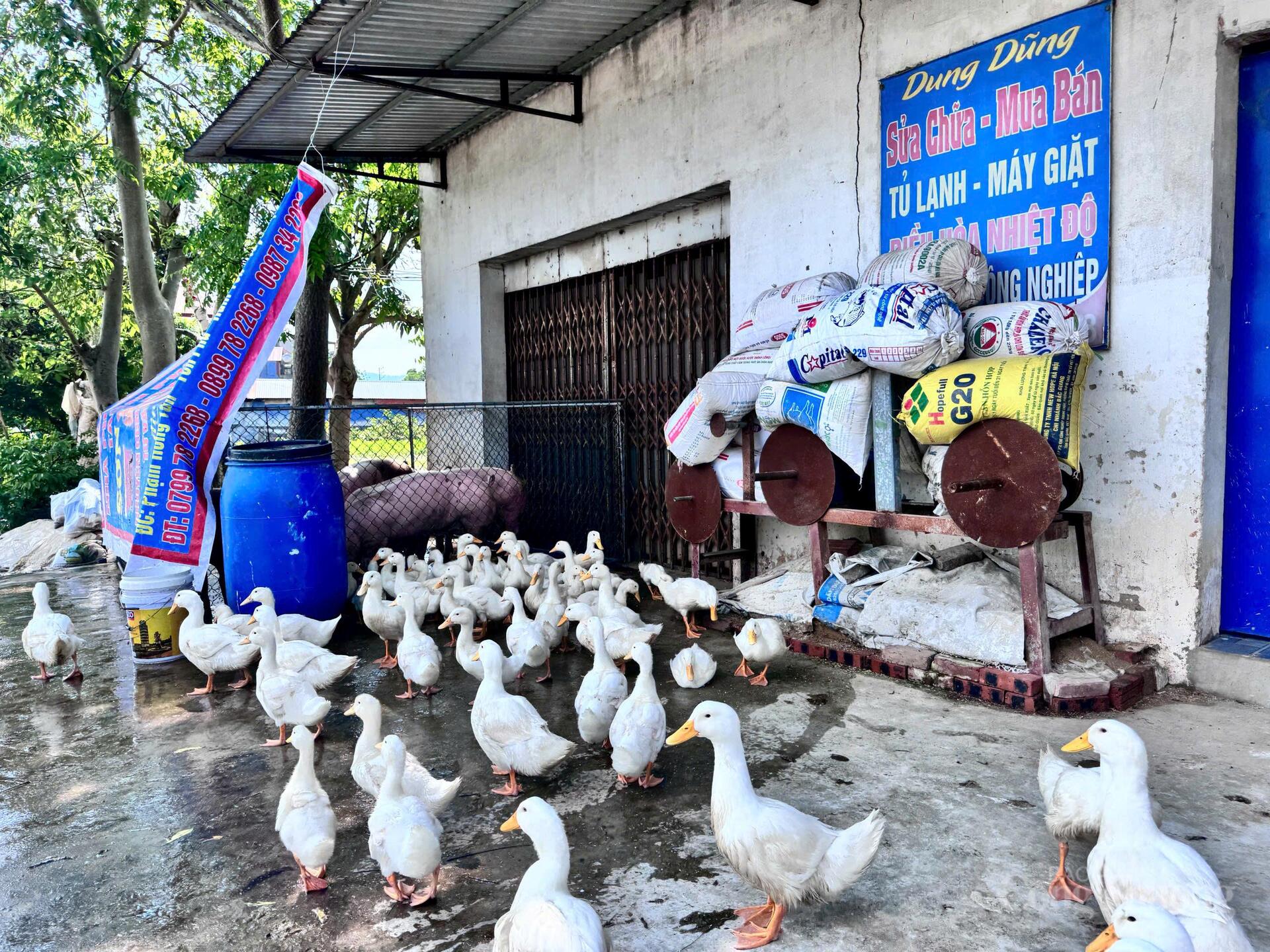 Hà Nội: Trung Giã, Đa Phúc ngập sâu, dân chế thuyền đi lại - 22