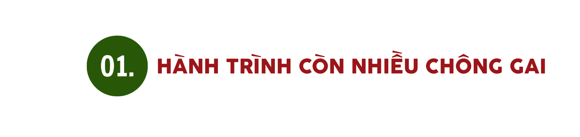 Sản phẩm vùng dân tộc thiểu số trước bước ngoặt thương mại điện tử - 1