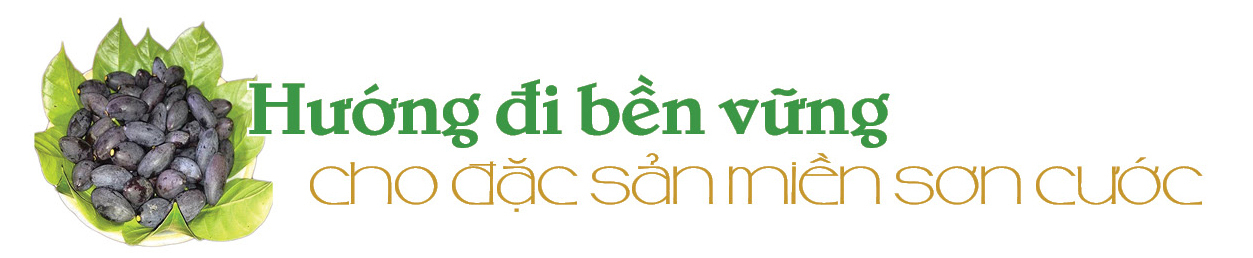 Longform | Cây trám đen Cao Bằng: ‘Lộc rừng’ nuôi sống bao đời dân bản - 6