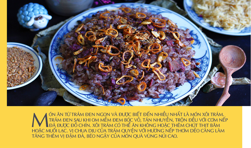 Longform | Cây trám đen Cao Bằng: ‘Lộc rừng’ nuôi sống bao đời dân bản - 8