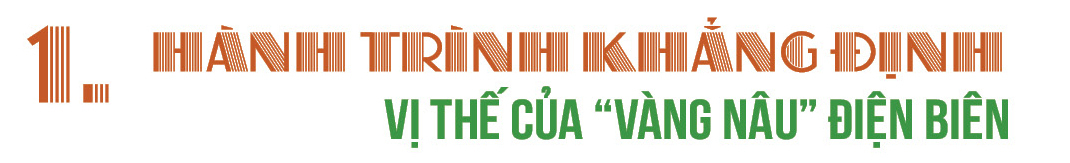 Longform | Cà phê Điện Biên: ‘Hạt ngọc nâu’ giữa đại ngàn - 1