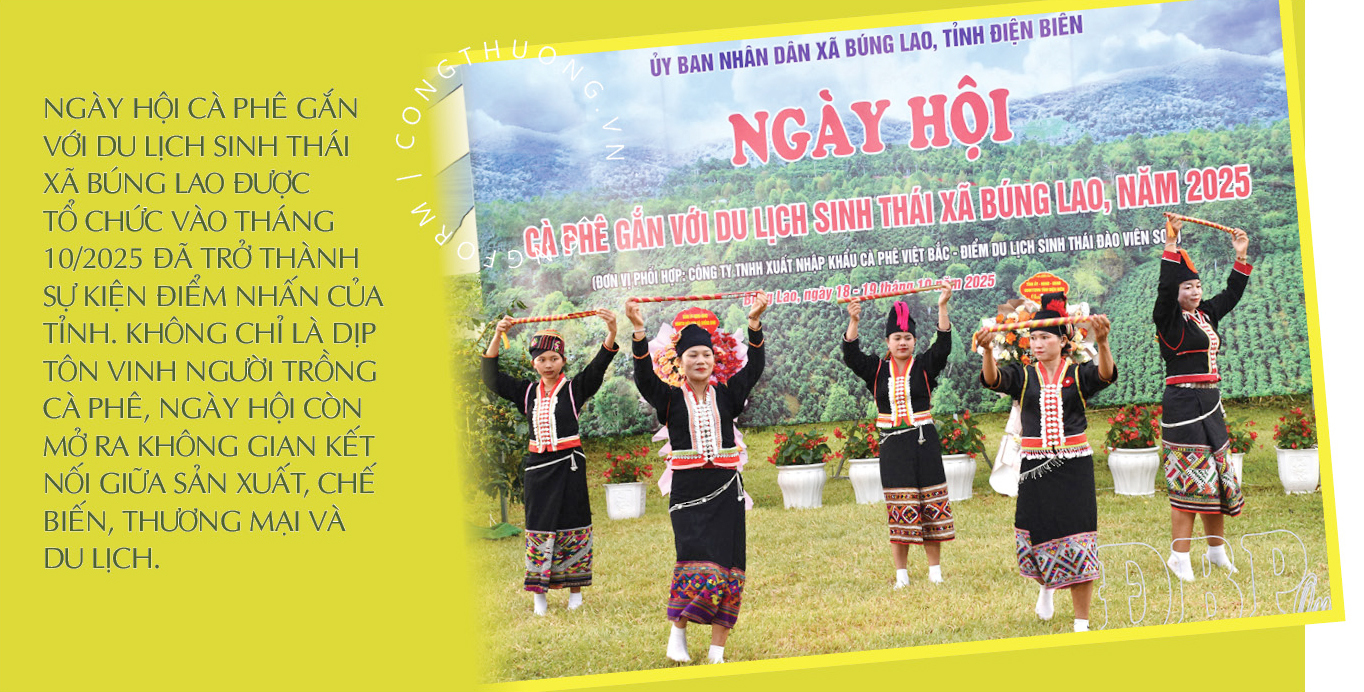 Longform | Cà phê Điện Biên: ‘Hạt ngọc nâu’ giữa đại ngàn - 5