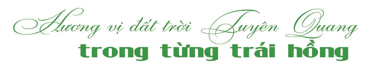 Longform | Hồng ngâm Xuân Vân: Tinh hoa đất Tuyên Quang - 1