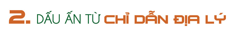 Longform | Cà phê Lâm Đồng: Từ cây chủ lực đến thương hiệu quốc gia - 4
