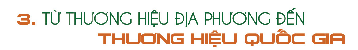 Longform | Cà phê Lâm Đồng: Từ cây chủ lực đến thương hiệu quốc gia - 7