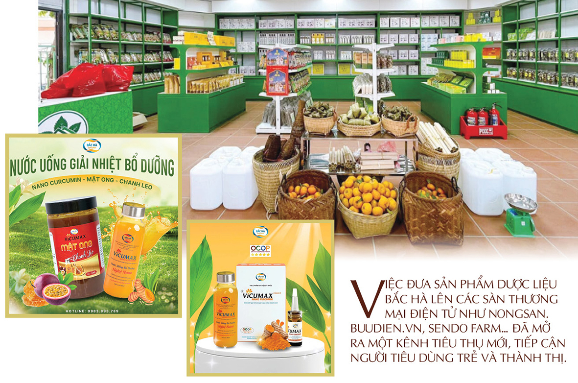 Longform | Dược liệu Bắc Hà: Khát vọng từ núi rừng vươn ra thế giới - 6