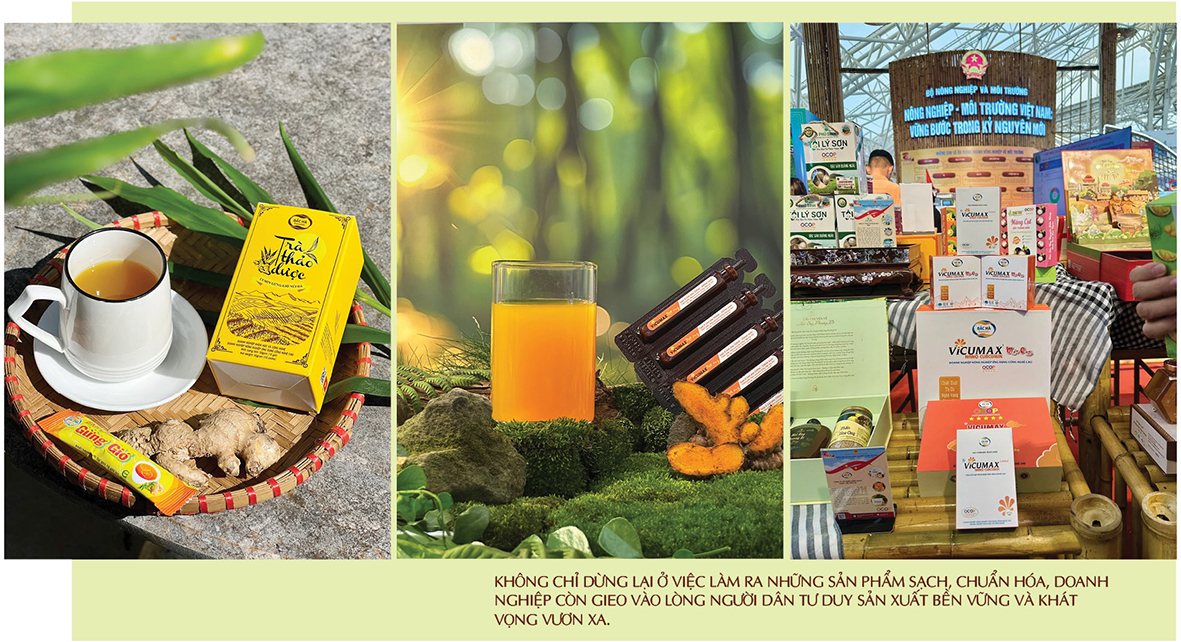 Longform | Dược liệu Bắc Hà: Khát vọng từ núi rừng vươn ra thế giới - 9