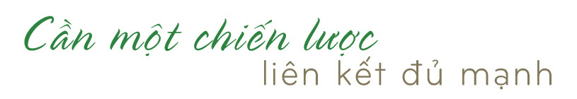 Liên kết sản xuất - tiêu thụ: ‘Chìa khóa’ thoát nghèo vùng dân tộc - 6