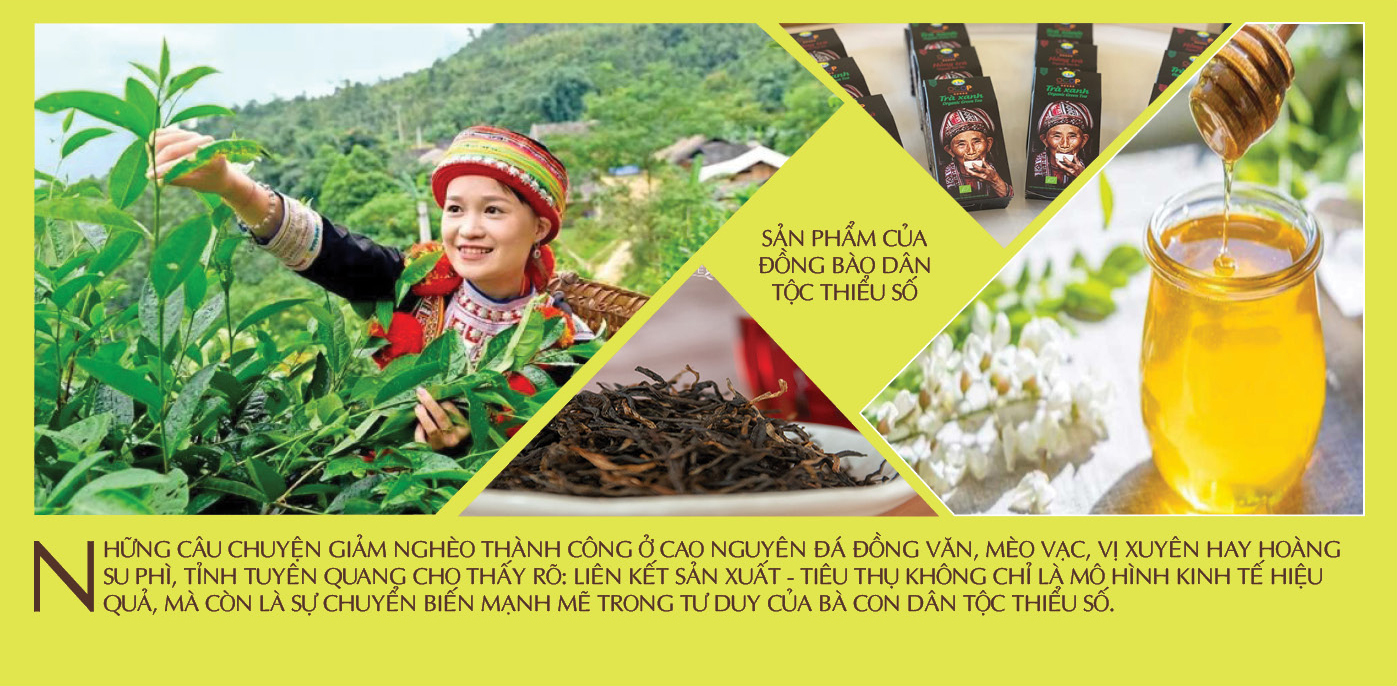 Liên kết sản xuất - tiêu thụ: ‘Chìa khóa’ thoát nghèo vùng dân tộc - 4