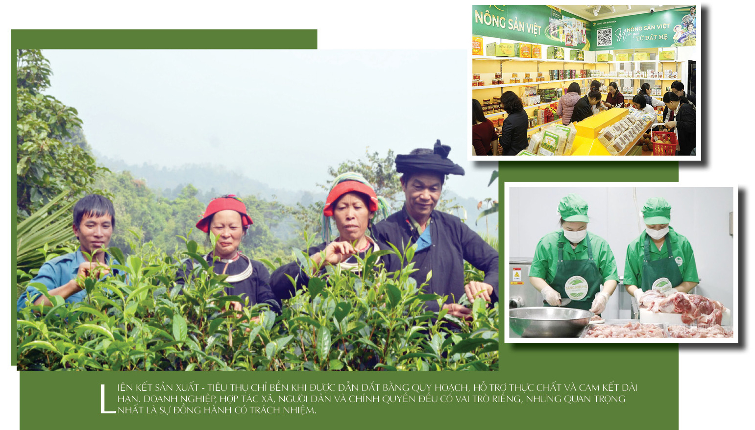Liên kết sản xuất - tiêu thụ: ‘Chìa khóa’ thoát nghèo vùng dân tộc - 7