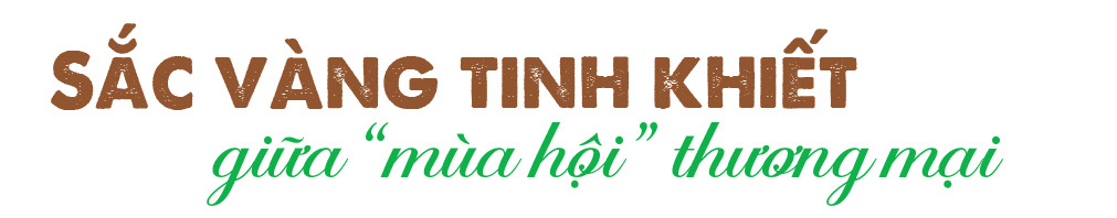 Longform | Trà hoa vàng Quy Hoa: Khát vọng vươn tầm thế giới - 1