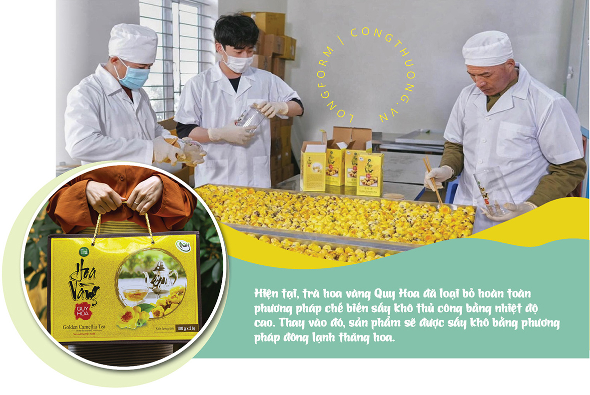 Longform | Trà hoa vàng Quy Hoa: Khát vọng vươn tầm thế giới - 5